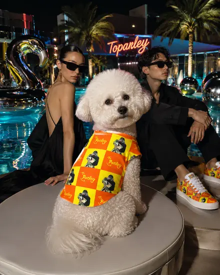 ナイトプールの縁でくつろぐ犬とモデルたち