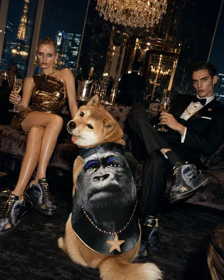 夜景のバーで金色のドレスのモデルと並ぶ犬のビジュアル