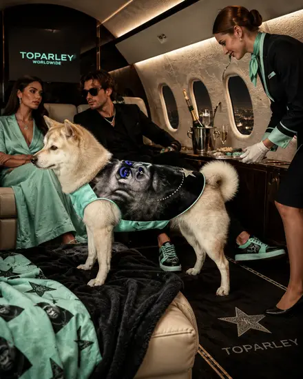 プライベートジェットの機内でくつろぐ犬とモデル